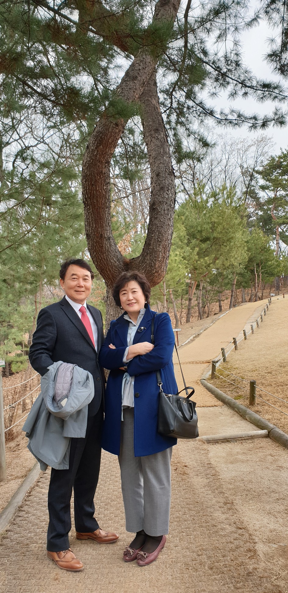 방학동 은행나무집 참 봉평모밀﻿