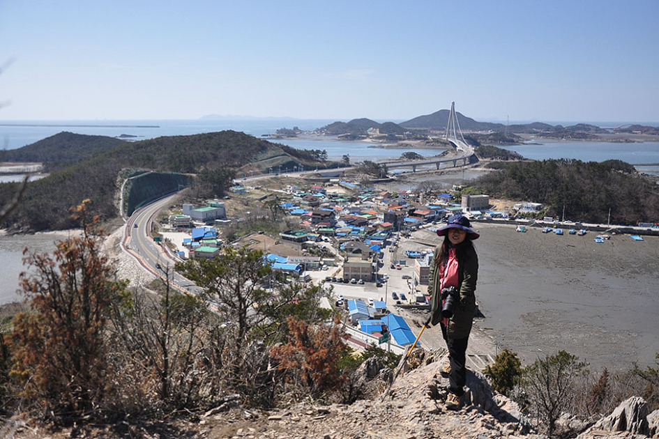 [군산] 신시도 앞산 산자고/산자고 꽃밭에서 놀다