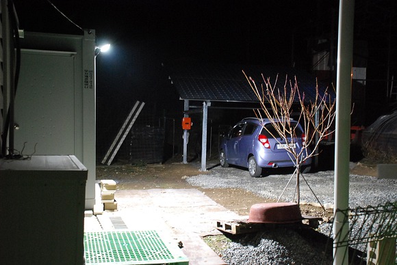 뒤 뜰을 밝히고