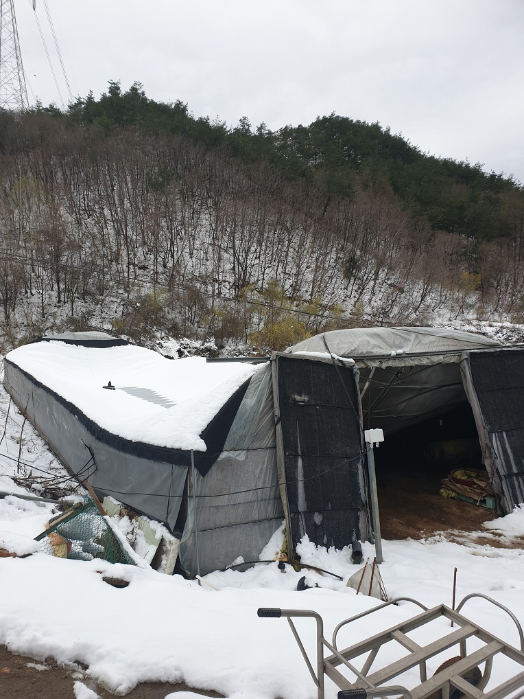 폭설로 인한 농업시설 피해상황(2차)